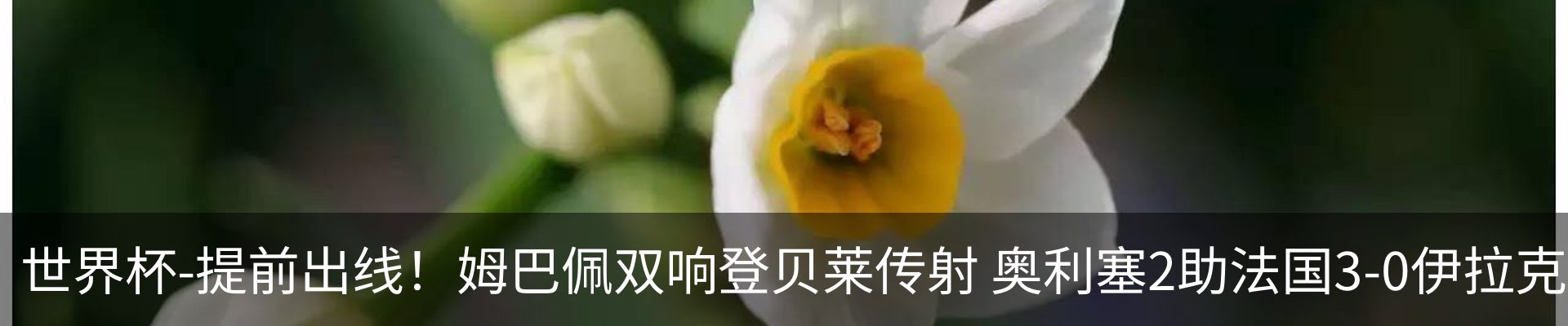行业资讯