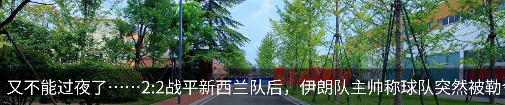行业资讯