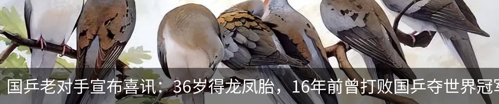 行业资讯