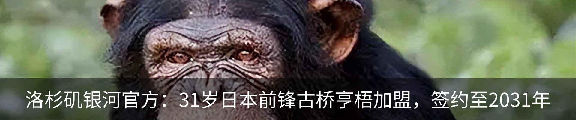 行业资讯