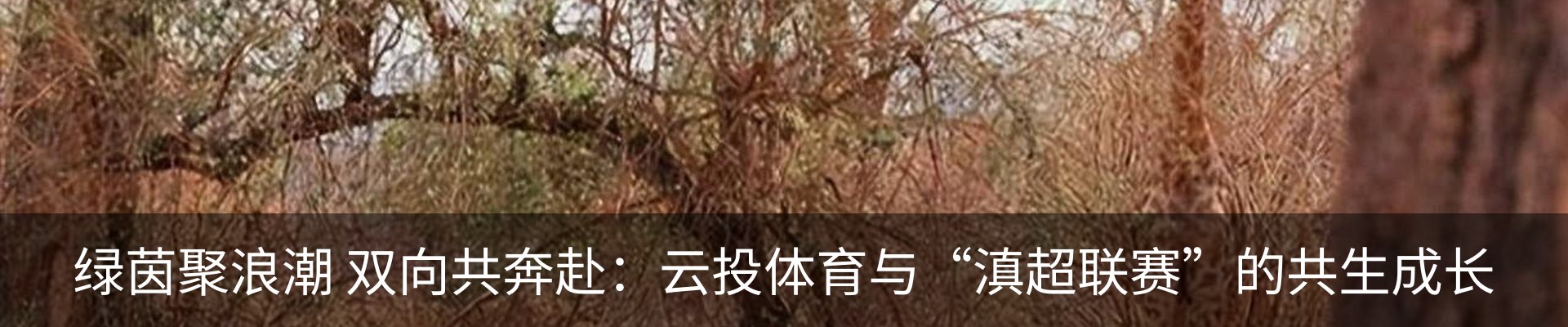 行业资讯