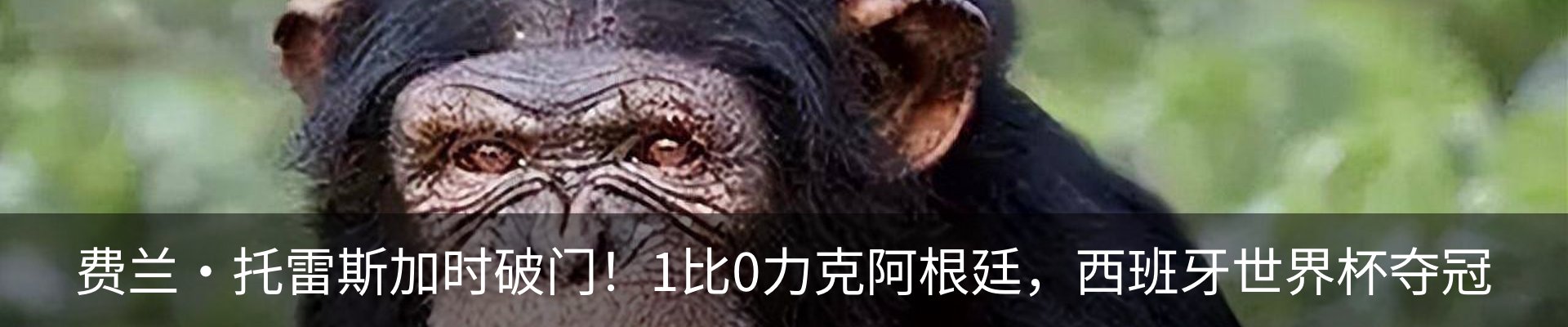 行业资讯